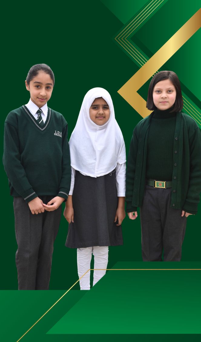 green and gold modern business id card